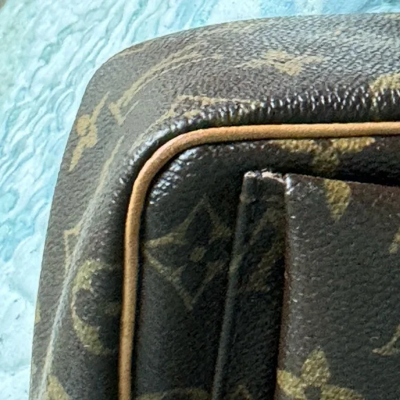 Authentic Louis Vuitton Viva Cite PM - Picture 7 of 11